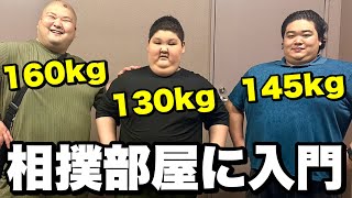 体重130キロ13歳ハルトが特待生で相撲部屋に入門します😭【ムコウズ】