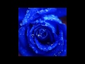 Du streichelst meine Seele-Lyrics 