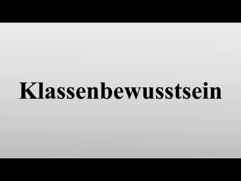 Klassenbewusstsein