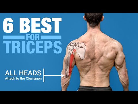 The 6 BEST Triceps Exercises (ANATOMY BASED) | ATHLEAN-X