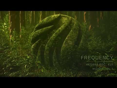 Akasha Rec, 41x - Frequency