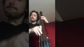 Bass solo on Good Morning Heartache