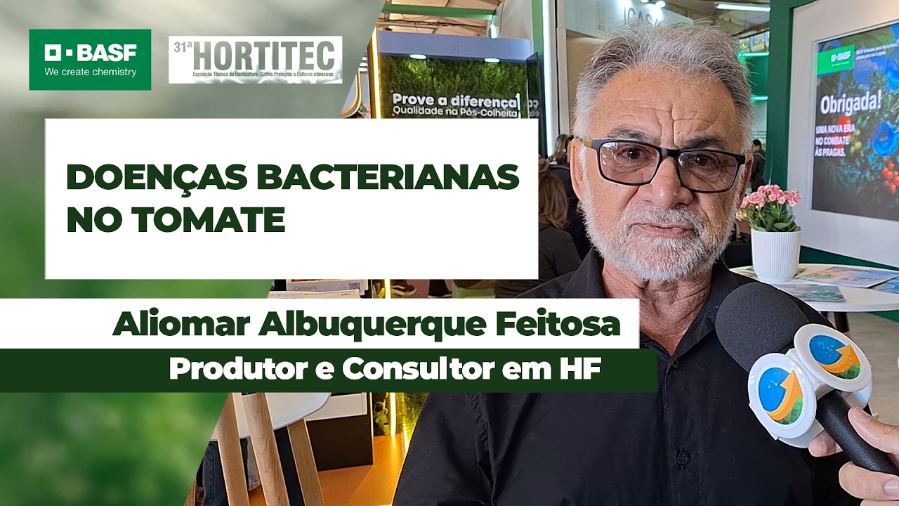 Tomate é cultura que mais está sofrendo com doenças bacterianas nos cultivos de hortifruti