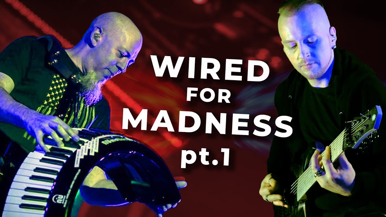 Wired for Madness