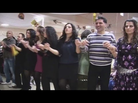 music mem u zine botani