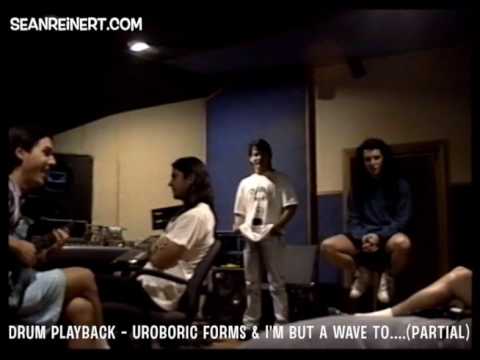 CYNIC - Focus "Uroboric Forms" Sean Reinert Drum Tracks