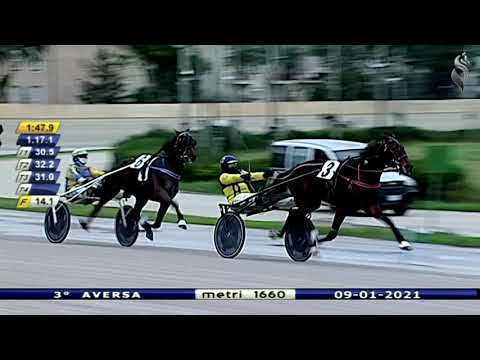 Aversa trotto 9 Gennaio 2021 - 3° Corsa