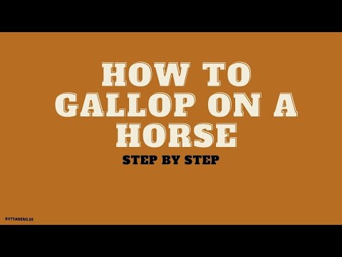 How to Gallop on a Horse