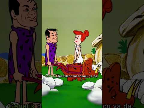 Taş Devri Aslında Gelecekte Geçiyor