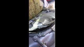 Chrysler Pacifica fuel pump easy access (early models). P0456 P0455 P057