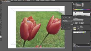 How to Import Images into Adobe Illustrator