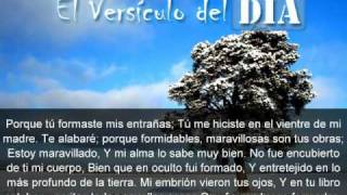 Miniatura del video: El versiculo del dia .com - Salmos 139 v13-16
