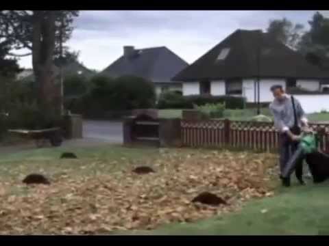 jak się pozbyć kreta z ogrodu?