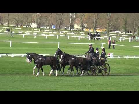 Luca CASSOTTANA (ITA) - CAI***, H4 WC, Kladruby nad Labem (Czechia), dressage, 21.04.2023