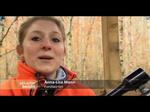 Frauen auf der Pirsch SR aktueller bericht