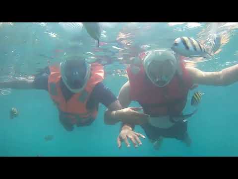 Snorkeling At Elephant Beach Andaman || Water activities on elephanta beach
