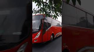 Download lagu DAMRI MERAH #busmania #basuri #telolet #teloletbasuri #teloletbus #bustelolet #shorts #bus mp3
