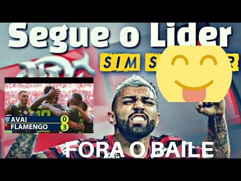 Avai 0 x 3 Flamengo melhores momentos