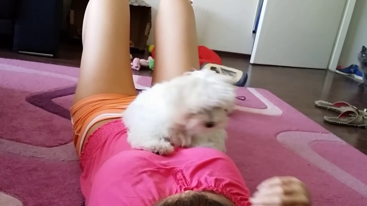 Hơn 20 tuổi mà không bằng 1 con cờ hó