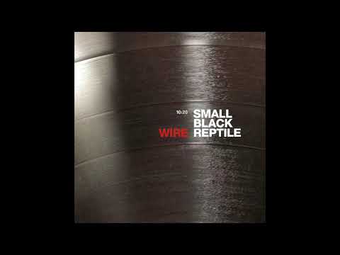 Video thumbnail for Small Black Reptile - 10:20 Version