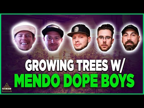 Growing Outdoor Trees w/ Mendo Dope! - From The Stash Podcast Ep. 93