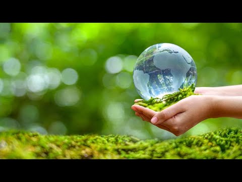 Application of a Deterministic Distributed Hydrological Model for Estimating Impact..