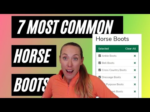 Which Horse Boots Do I Use?! – 7 Common Types Explained