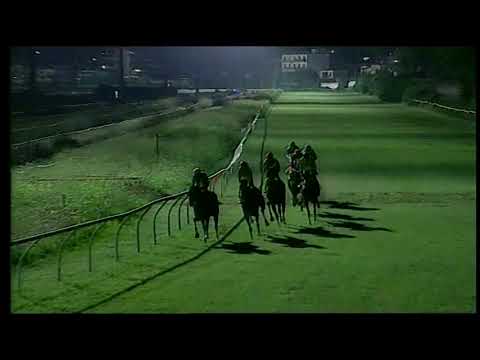 Napoli Galoppo 11/08/2021 - 5ª corsa