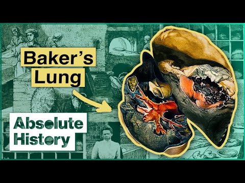 The Evolution of Bakeries: A Journey Through Time