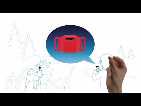 o2 free connect – dein Haustier