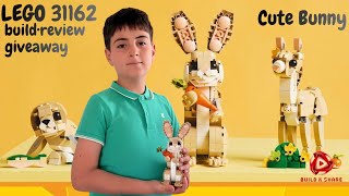 LEGO Creator Cute Bunny 31162 🐰 | 3-in-1 Speed Build & Review