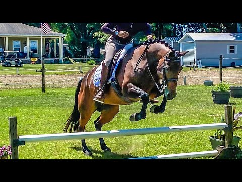 Working Equitation Ease of Handling Advanced Level 6   72.778%