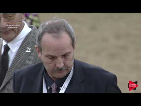 N.168 AWSS LEMBARAK - 2019 Qatar Individuals - Colts 2 Years Old (Class 5B) .mp4