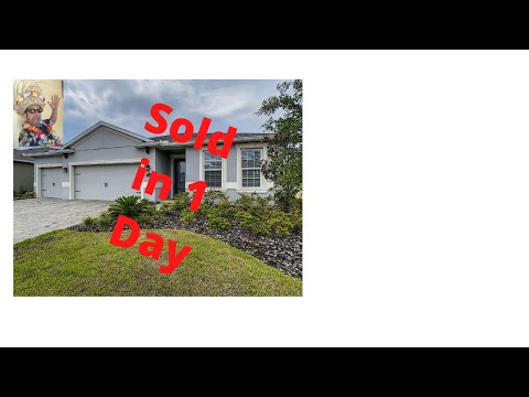 SOLD IN 1 DAY  -