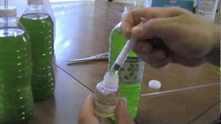 How to culture Phytoplankton