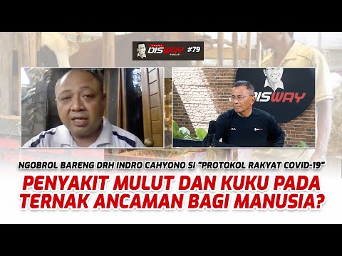 Seberapa Bahayakah PMK pada Hewan?