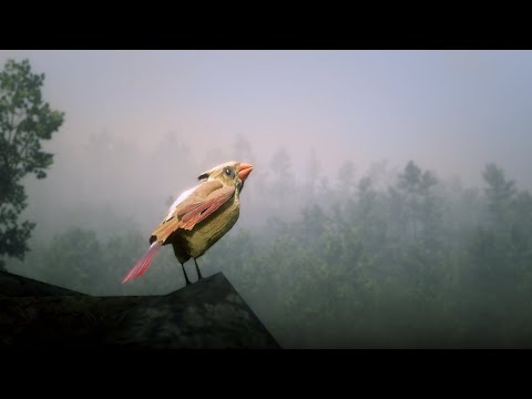 Red Dead Redemption 2 Walkthrough Part 238 "Wildlife Art Exhibition - Day 3"