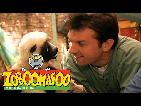 🐒 Zoboomafoo 🐒 126 | Playtime - Full Episode | Kids TV Shows