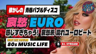 🛑80s DISCO🌈哀愁ユーロビート♥️感じ過ぎちゃう~濡れユーロスペシャル⭐バブルディスコ ハイエナジー EuroBeat HI-NRG 昭和 歌謡 80年代 マハラジャ 東亜会館 DJ
