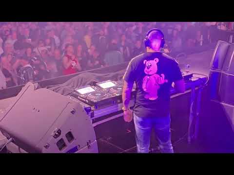 Oldschool Gangsters 2025 Rise Of The Rotterdam Syndicate 