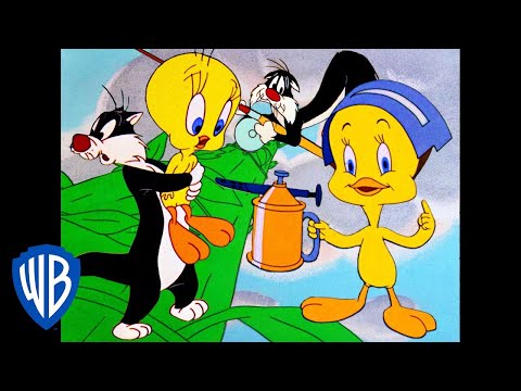 Looney Tunes en Latino | Lo Mejor de Piolín y el Gato Silvestre | WB Kids