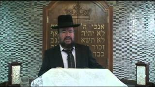 פרשת אמור – אחריות ההורים בחינוך ילדיהם