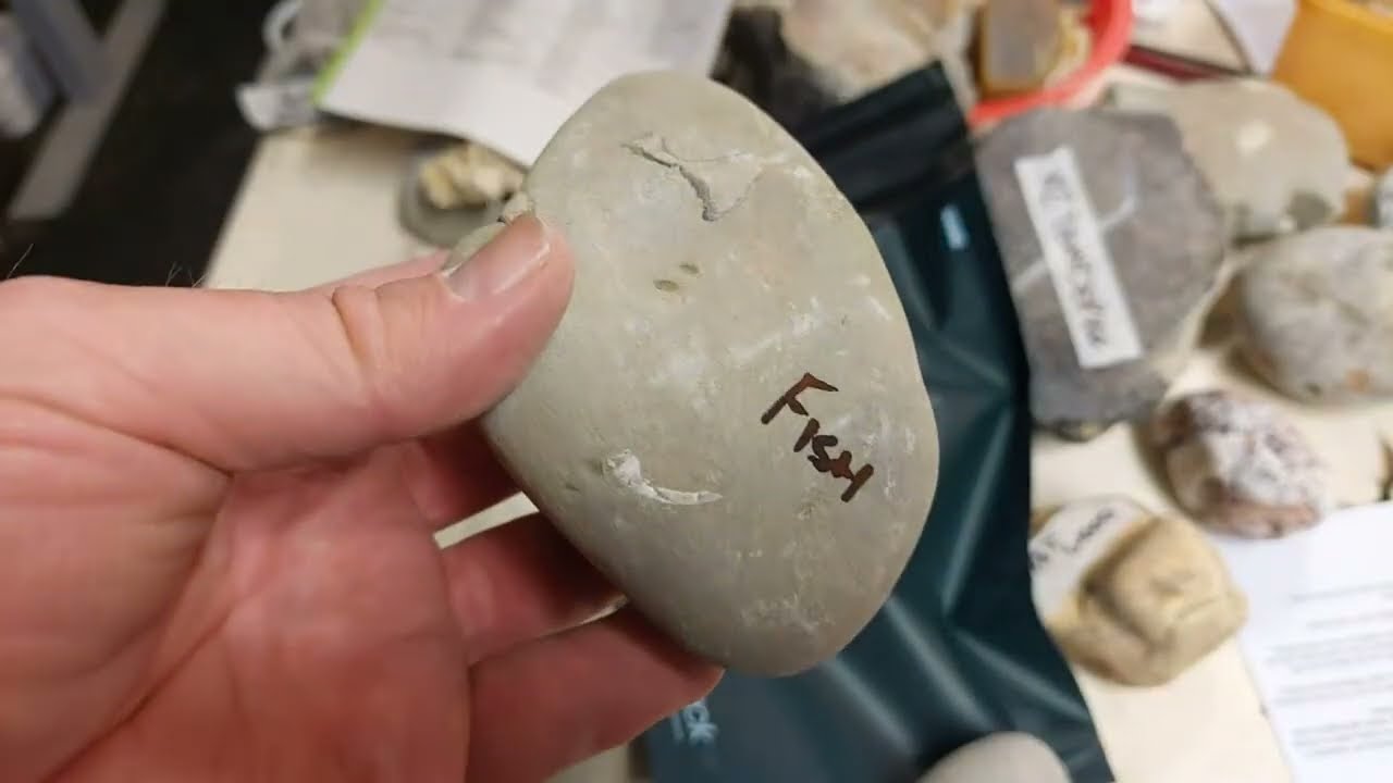 Mamlambo Fossils is live!