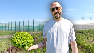 ON RAMASSE NOS LÉGUMES NOUS-MÊME - VLOG Cueillette de Saison en Famille