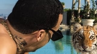 French Montana - How You Want It (The Appetizer)