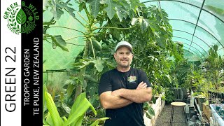 Welcome to Troppo: The Craziest Tropical Jungle in a New Zealand Backyard! 🌴🍌