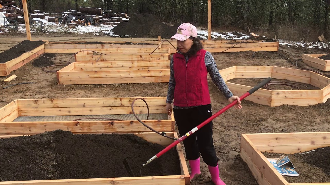 Building a Garden (Step 3) | Library @ Home