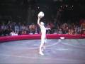Ringling Bros Pre Show