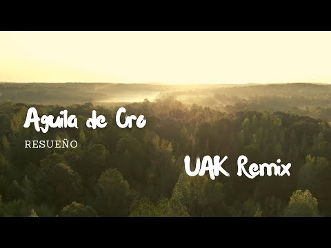 Little Whale - Aguila De Oro (UAK Remix)