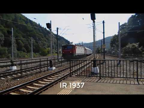 Trenuri/Trains In Sinaia